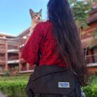 𝐒𝐩𝐫𝐢𝐧𝐠 𝐓𝐫𝐞𝐧𝐝𝐲 𝐁𝐚𝐠